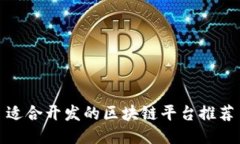 适合开发的区块链平台推荐